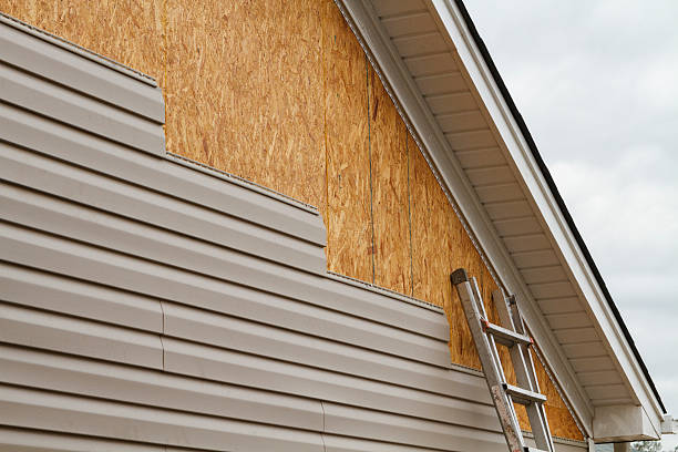 Professional Siding Repair technician working in Brighton, IL